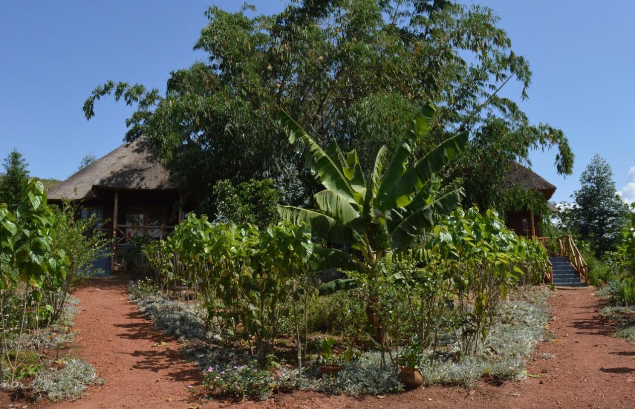 Rwinkwavu Rutete Eco Lodge מראה חיצוני תמונה
