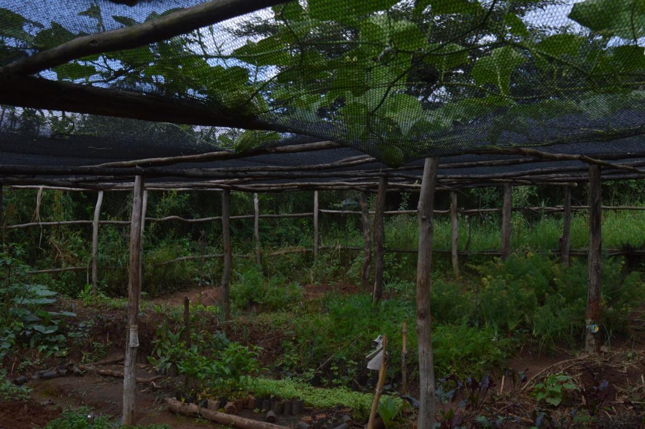 Rwinkwavu Rutete Eco Lodge מראה חיצוני תמונה