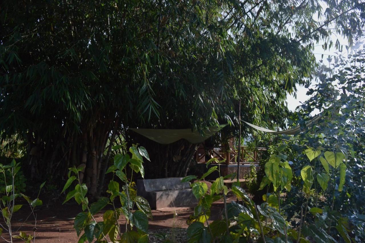 Rwinkwavu Rutete Eco Lodge מראה חיצוני תמונה