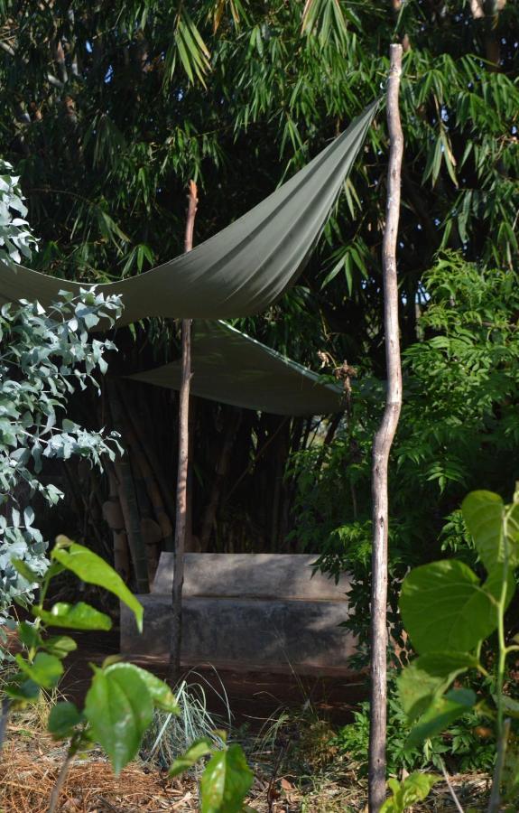 Rwinkwavu Rutete Eco Lodge מראה חיצוני תמונה