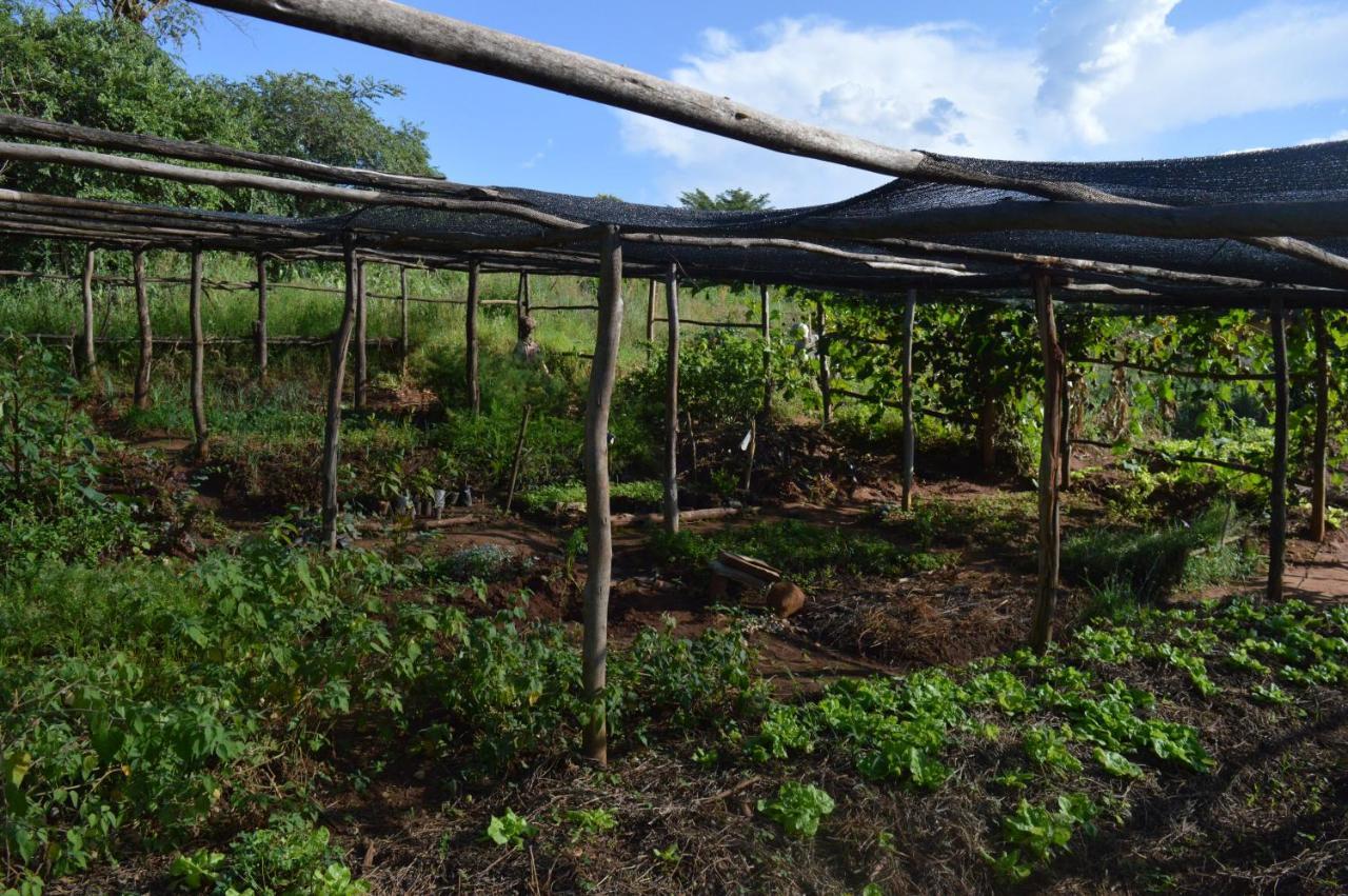 Rwinkwavu Rutete Eco Lodge מראה חיצוני תמונה