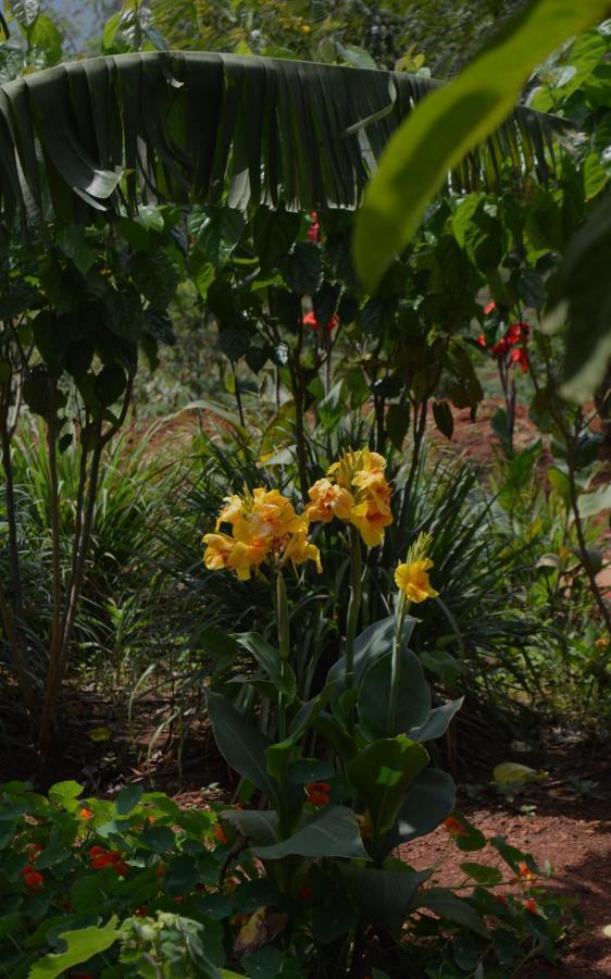 Rwinkwavu Rutete Eco Lodge מראה חיצוני תמונה