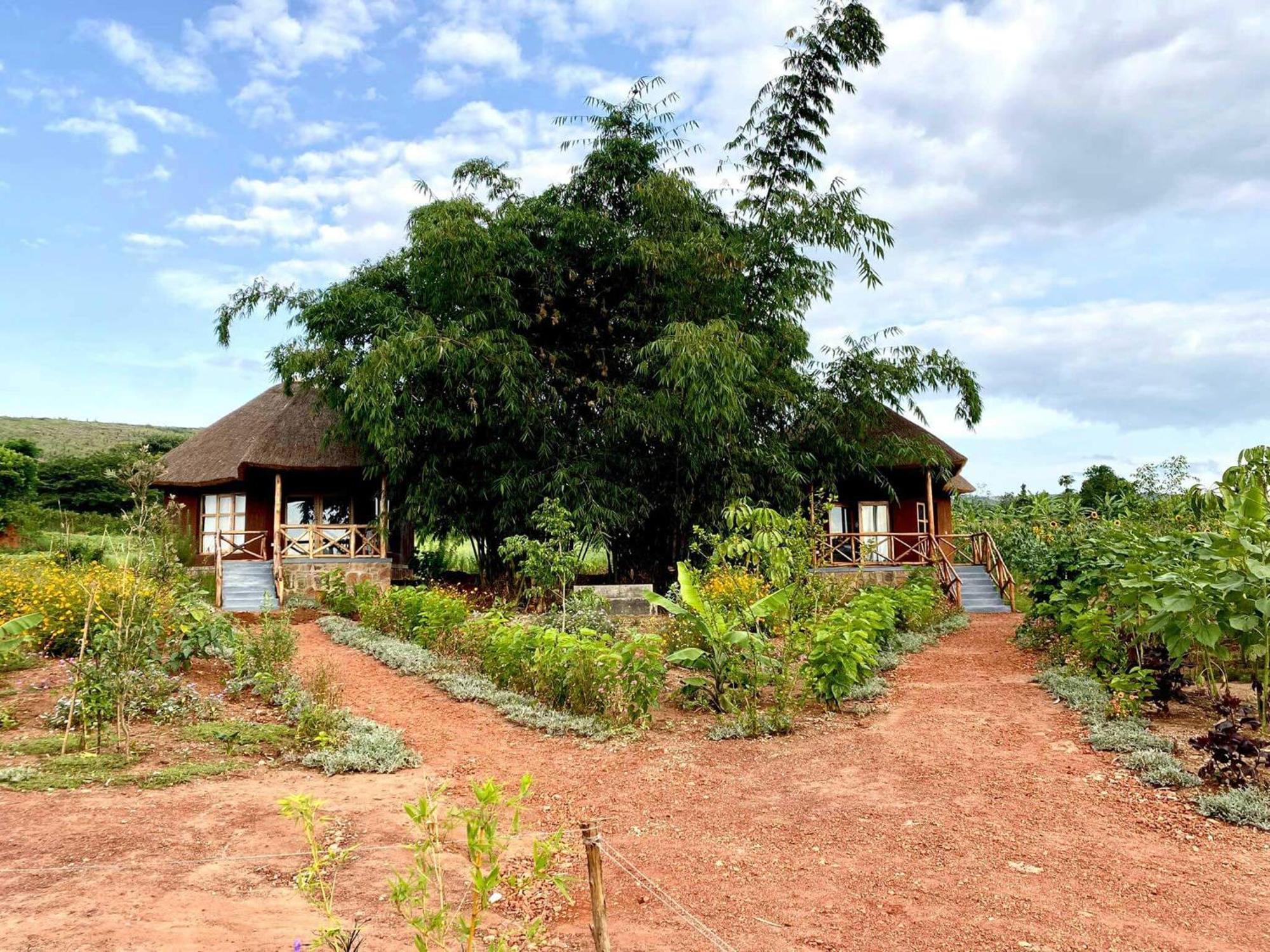 Rwinkwavu Rutete Eco Lodge מראה חיצוני תמונה